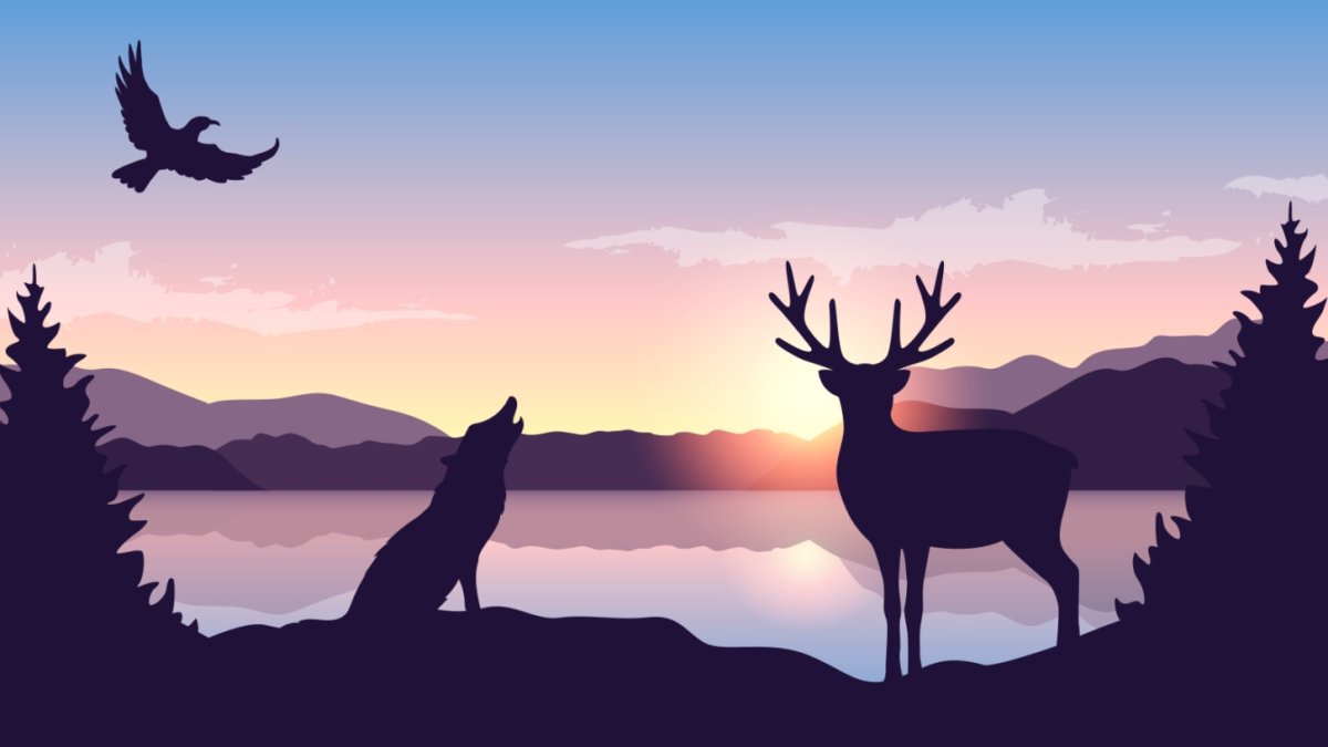 This 'Twilight Safari' is about atmospheric autumn evenings among the animals – NBC Bay Area - Vimarsana News