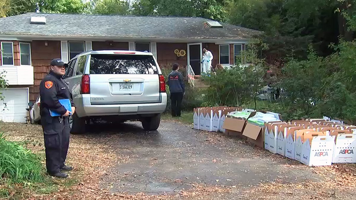 Long Island Animal House: Miller Place Home Overrun, ASPCA Says – NBC Bay Area - Vimarsana News