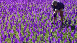 Holly Francis, a volunteer with Boston Medical Center helped to plant some of the 20,000 purple flags in the Common that commemorate Overdose Awareness Day and kick off Recovery Month. Each purple flag represents one life lost to overdose in Massachusetts over the past 10 years.