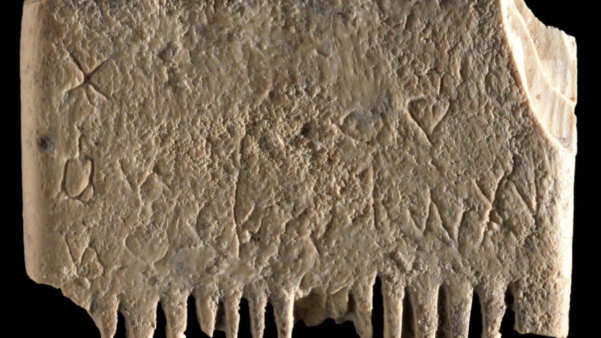 Archaeologists in Israel Find Ancient Comb With an Important Message About Lice – NBC Bay Area - Vimarsana News