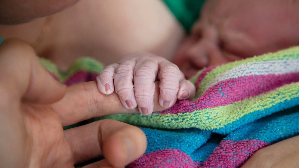 Home Births Increased in the US During COVID-19, Data Shows – NBC Bay Area - Vimarsana News