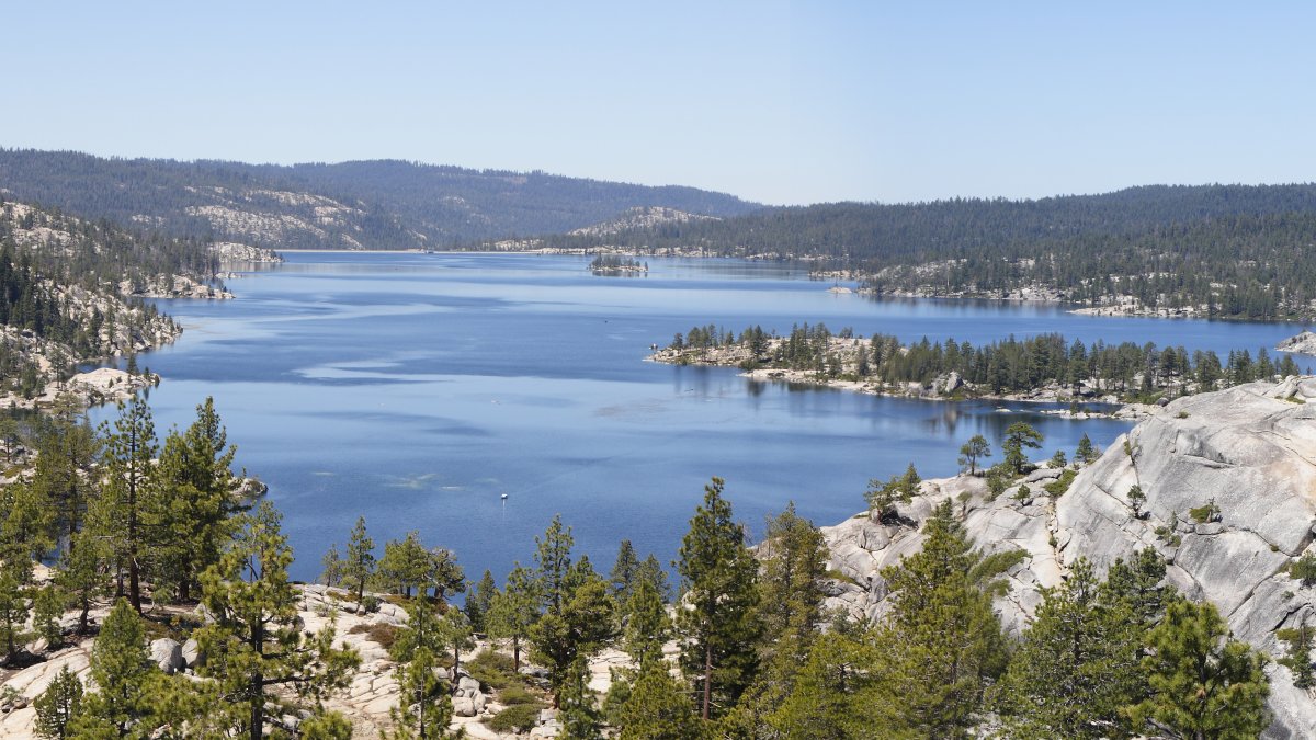 Cut Your Own Christmas Tree for Free at this California Forest – NBC ...