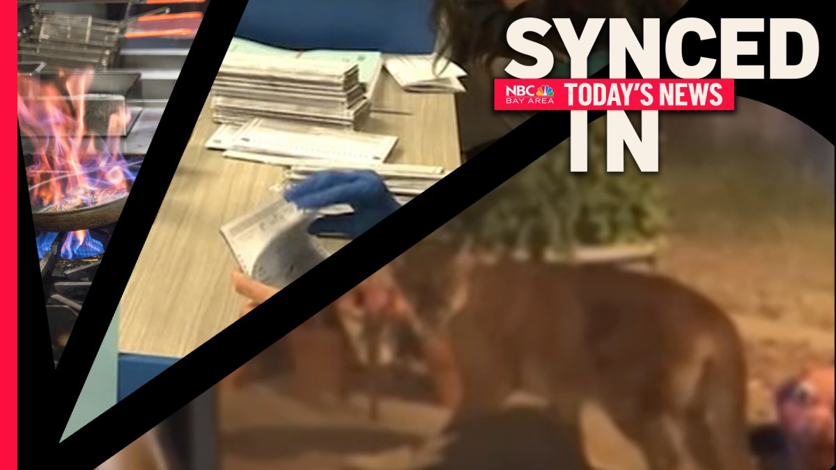 In the News: Mountain Lion Attack Election Recounts Michelin star