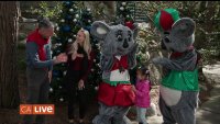 Get in the Holiday Spirit with Jungle Bells at the San Diego Zoo!
