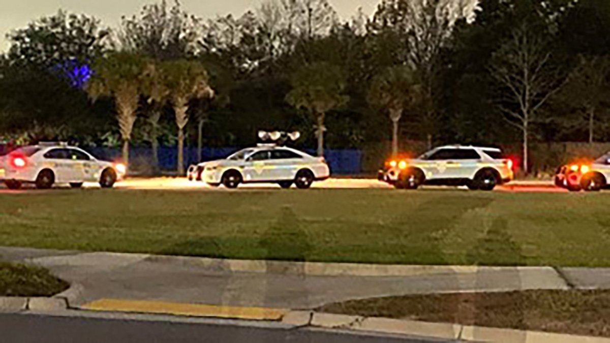 Zookeeper Injured During Bear Attack at Jacksonville Zoo – NBC Bay Area - Vimarsana News
