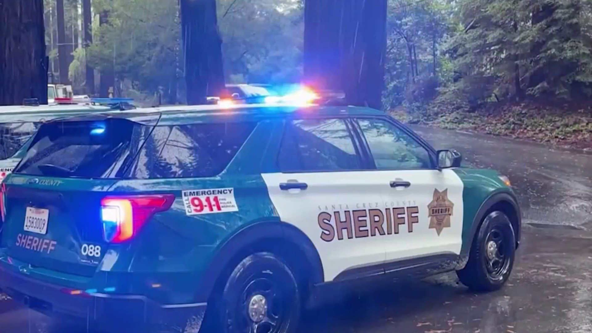 Downed Tree Kills Man in Santa Cruz