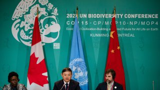 (L-R) Executive Secretary of the UN Convention on Biological Diversity, Elizabeth Maruma Mrema; Chinese Ecology and Environment Minister, Huang Runqiu; and Canadian Minister of the Environment