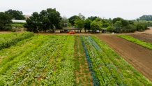 U.C. Santa Cruz operates a small working farm that's used to conduct a wide variety of agricultural research.