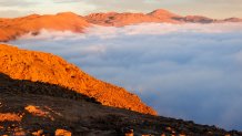Known as the driest place on earth, Chile's Atacama Desert sees almost no rainfall — but it does get fog.