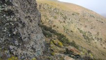 Anthropologists have found evidence that indigenous people in South America were collecting water from fog up to a thousand years ago, by setting clay vessels and leather bags at the bottom of rock faces like this one. The lichens that cover the rock can act like sponges, catching and holding moisture from fog until it's heavy enough to drip off and fall to the ground.