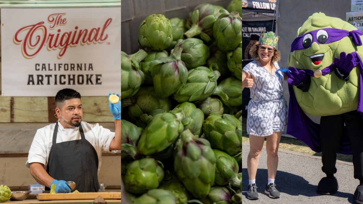 Okey dokey, Artichoke Festival: Leaf it to you to tempt our thistle-loving cravings – NBC Bay Area - Vimarsana News