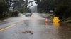Bay Area Storm: Widespread Flooding, Outages, High Wind Expected
