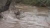Recent Rain Has Downgraded Drought Conditions in Bay Area, California