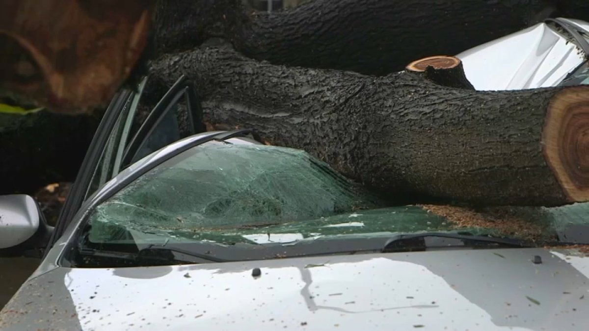 Bay Area Auto Repair Shops Overwhelmed by Storm-Related Damages – NBC Bay Area - Vimarsana News