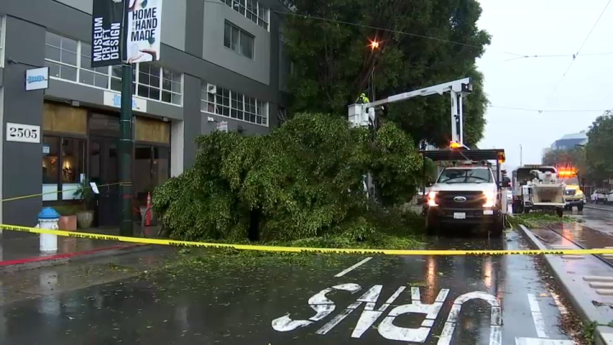 Another Day of Rain Comes With More Downed Trees, Flooding, Mudslides ...