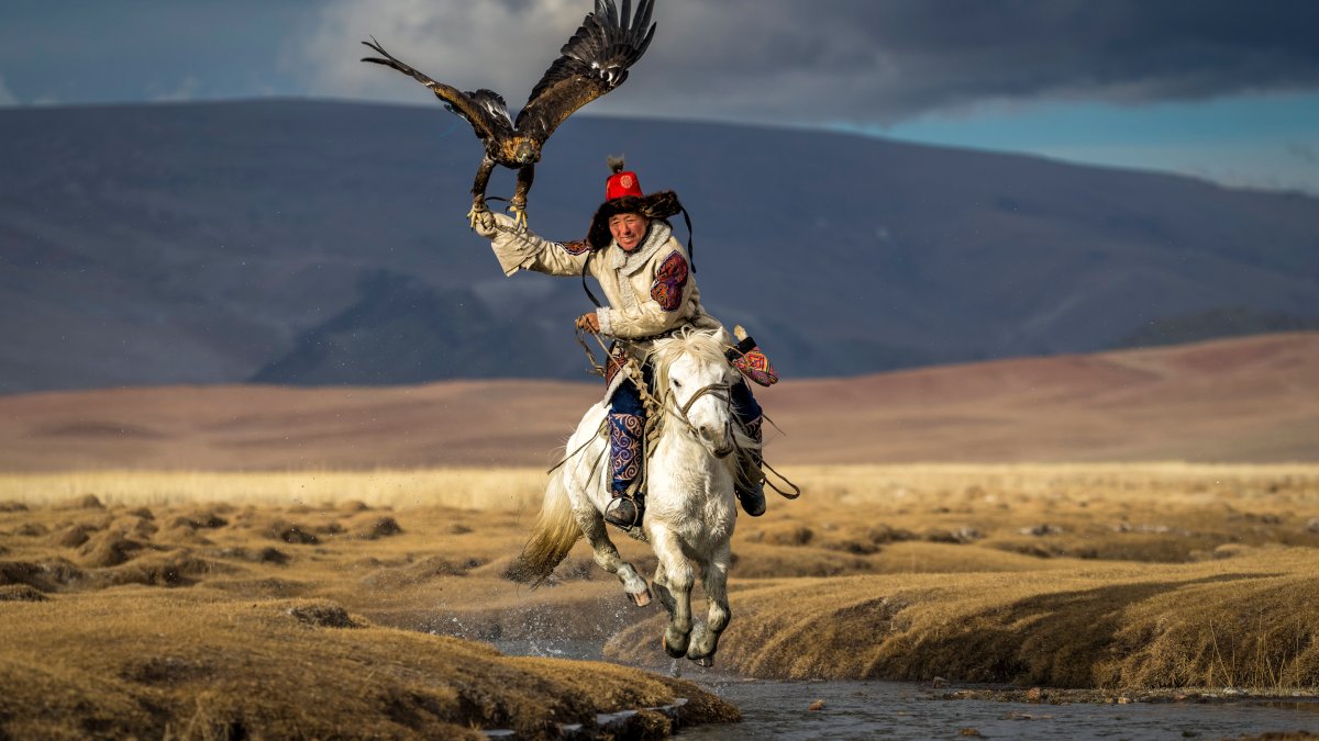 See the Photos That Won National Geographic's 'Pictures of the Year' Contest – NBC Bay Area - Vimarsana News