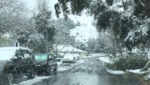Trees and card covered in snow in Cloverdale. (Feb. 24, 2023)