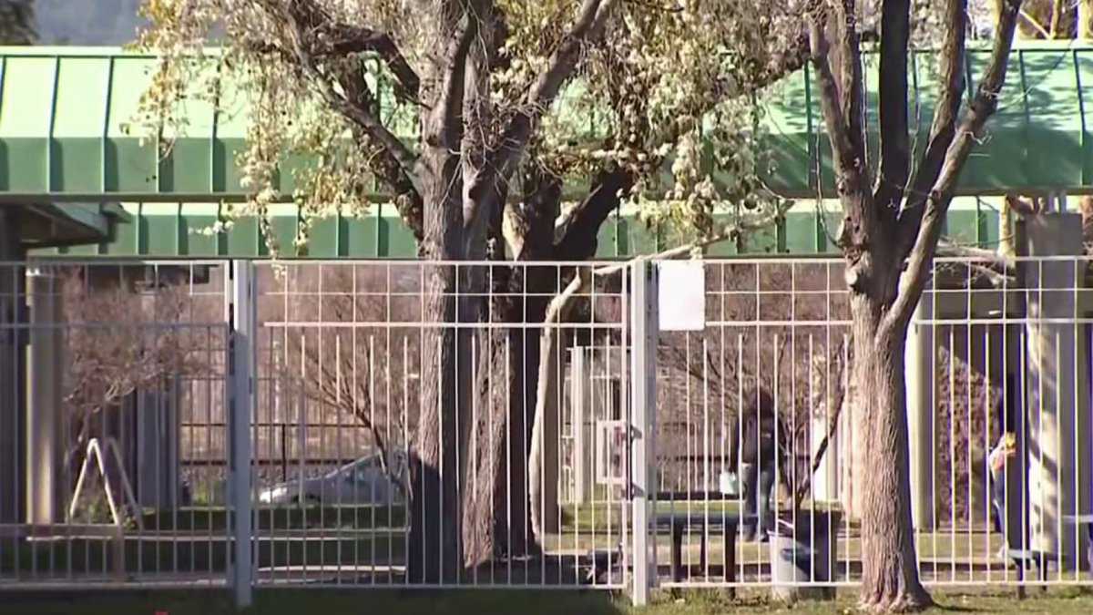 Pleasanton Parents Demand Action After Student Fight Caught on Camera - Vimarsana News