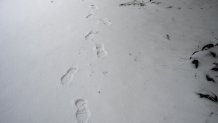 Foot prints in the snow during a storm at Lick Observatory in Mount Hamilton, California, US, on Thursday, Feb. 23, 2023. A sprawling winter storm is sweeping across the northern US this week, unleashing bitter cold and snow from California to Maine even as the Southeast sees record warmth. Photographer: David Paul Morris/Bloomberg via Getty Images