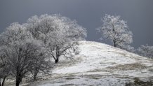 Snow during a storm in Mount Hamilton, California, US, on Thursday, Feb. 23, 2023. A sprawling winter storm is sweeping across the northern US this week, unleashing bitter cold and snow from California to Maine even as the Southeast sees record warmth. Photographer: David Paul Morris/Bloomberg via Getty Images