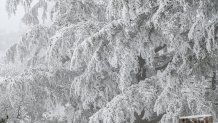 Snow during a storm at Lick Observatory in Mount Hamilton, California, US, on Thursday, Feb. 23, 2023. A sprawling winter storm is sweeping across the northern US this week, unleashing bitter cold and snow from California to Maine even as the Southeast sees record warmth. Photographer: David Paul Morris/Bloomberg via Getty Images
