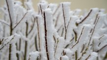 Snow during a storm at Lick Observatory in Mount Hamilton, California, US, on Thursday, Feb. 23, 2023. A sprawling winter storm is sweeping across the northern US this week, unleashing bitter cold and snow from California to Maine even as the Southeast sees record warmth. Photographer: David Paul Morris/Bloomberg via Getty Images