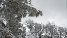 Snow during a storm in Mount Hamilton, California, US, on Thursday, Feb. 23, 2023. A sprawling winter storm is sweeping across the northern US this week, unleashing bitter cold and snow from California to Maine even as the Southeast sees record warmth. Photographer: David Paul Morris/Bloomberg via Getty Images