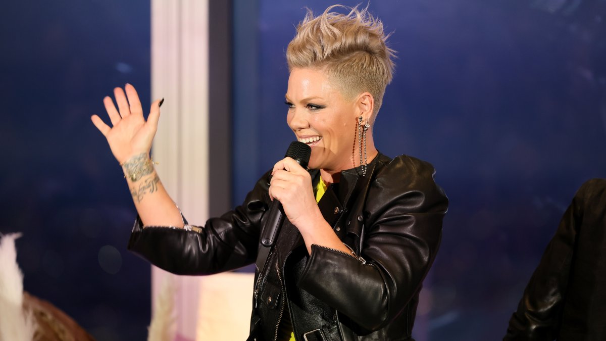 Pink's 'Trustfall' Explores Grief After Father's Death – NBC Bay Area - Vimarsana News