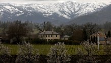 CALISTOGA, CALIFORNIA - FEBRUARY 24: Snow covers the hills behind a vineyard on February 24, 2023 in Calistoga, California. A large winter storm brought snow to lower elevations overnight in the Napa Valley. Much of California is being impacted by a cold winter storm that is bringing rain, wind a snow below 1,500 feet in many locations. (Photo by Justin Sullivan/Getty Images)
