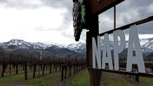 CALISTOGA, CALIFORNIA - FEBRUARY 24: Snow covers the hills behind a vineyard on February 24, 2023 in Calistoga, California. A large winter storm brought snow to lower elevations overnight in the Napa Valley. Much of California is being impacted by a cold winter storm that is bringing rain, wind a snow below 1,500 feet in many locations. (Photo by Justin Sullivan/Getty Images)
