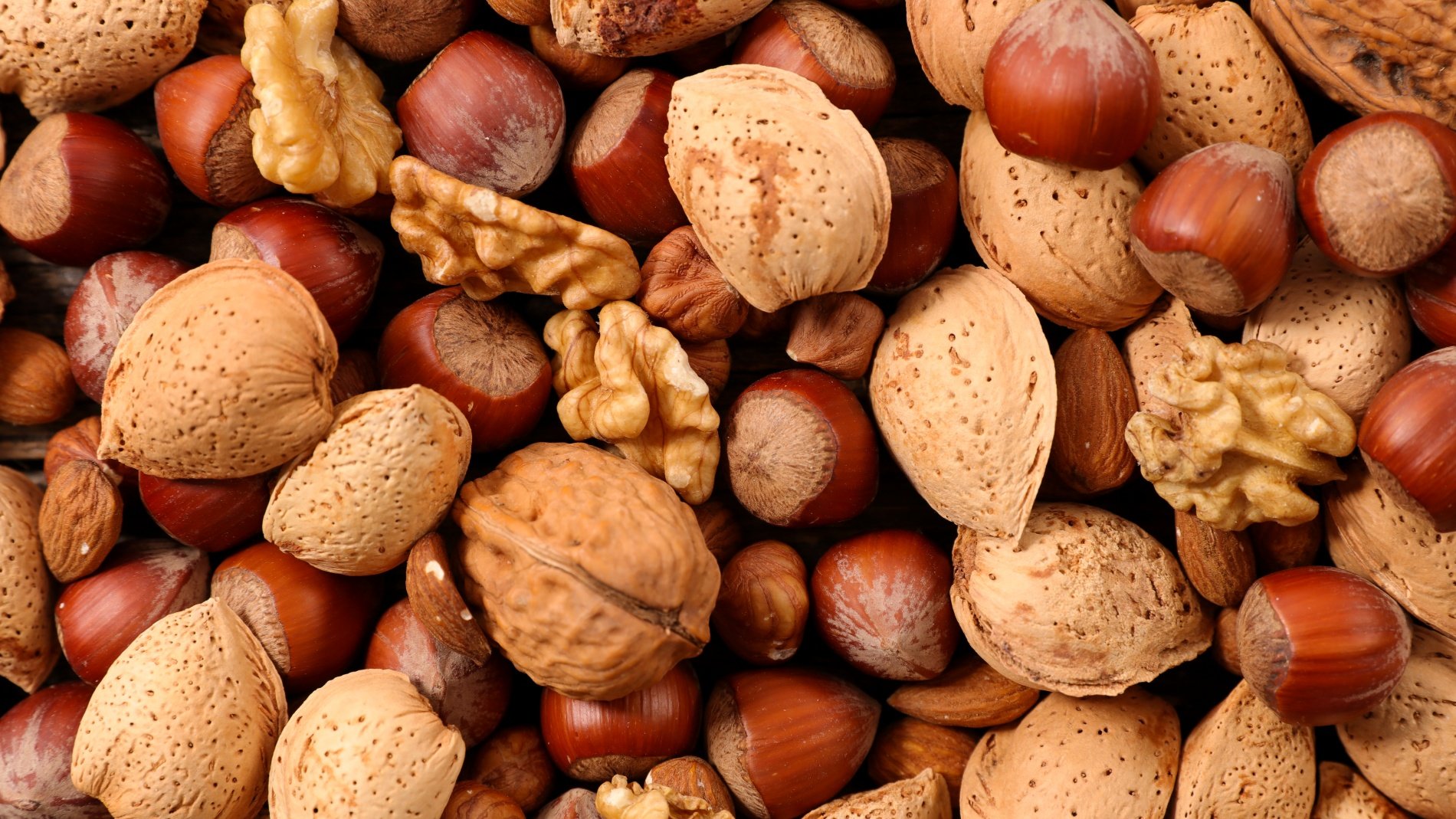 Chow Down on Nuts at a Flavorful Chico-Close Foodie Festival - Vimarsana News