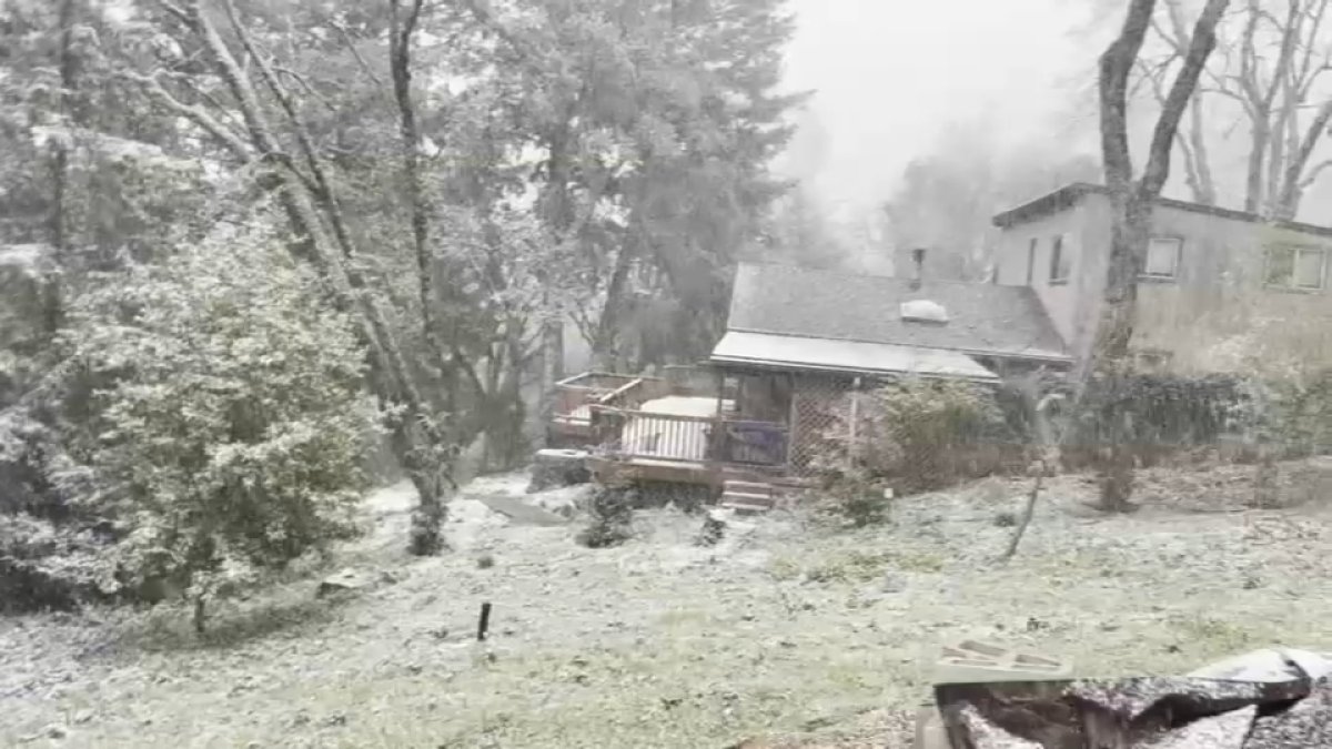 Bay Area Snow Tracker – NBC Bay Area - Vimarsana News