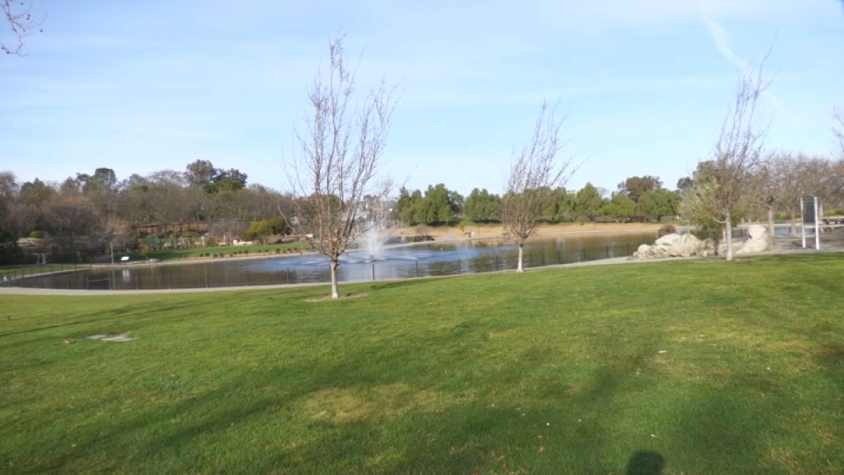 Revamping Heather Farm Park in Walnut Creek NBC Bay Area