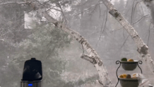 Photo appeared to show snow in Los Gatos. (Feb 22, 2023)