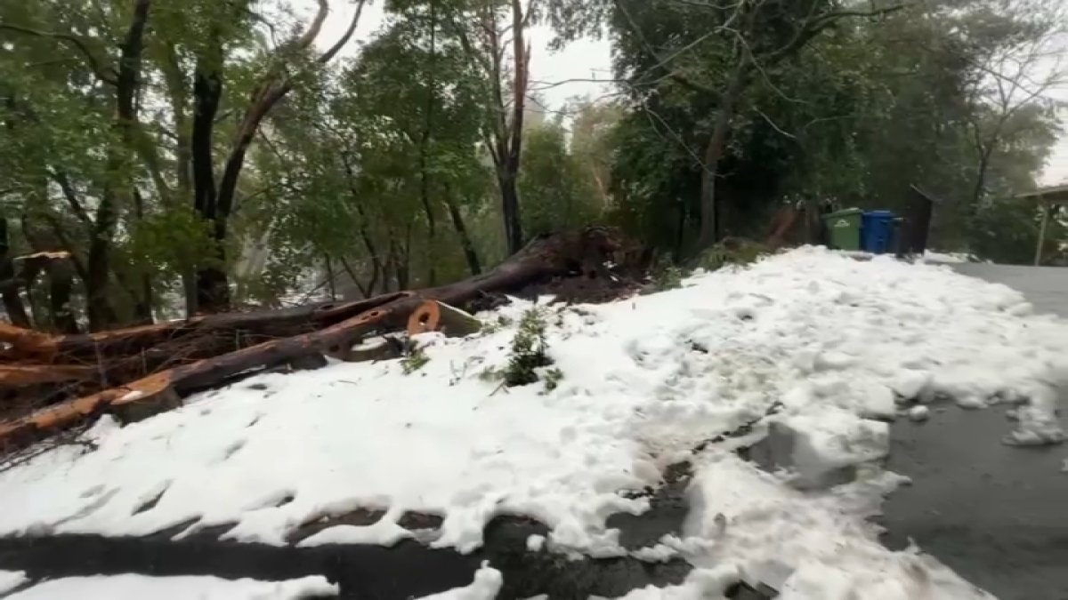 Power Outages in the Santa Cruz Mountains – NBC Bay Area - Vimarsana News