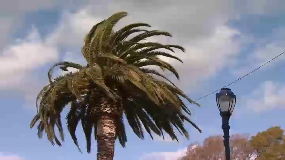 Why Is it So Windy in the Bay Area? NBC Bay Area