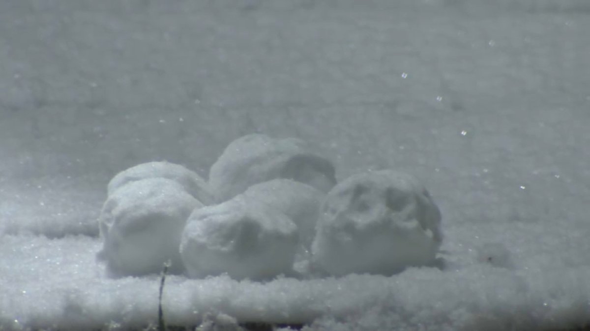 Bay Area Freeze Warning Extended Through Friday – NBC Bay Area