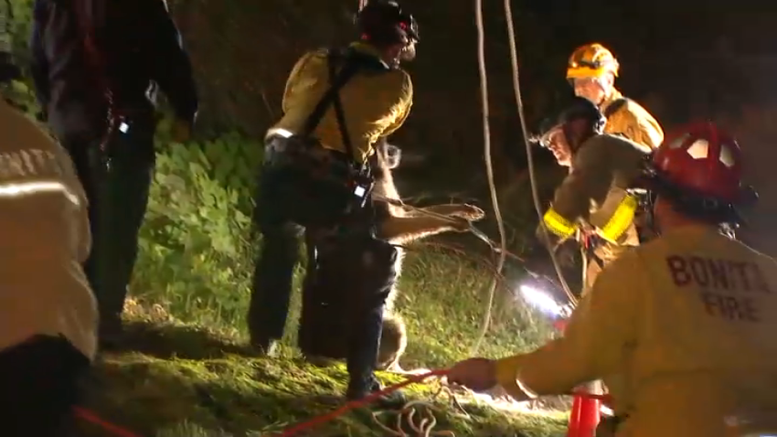 Crews pull Indy, a German shephard, out of a 30- to 50-foot hole in Bonita.