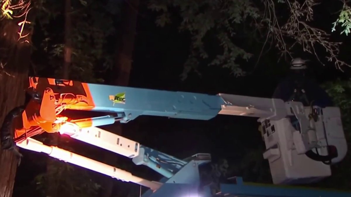 Los Gatos Residents Still Dealing With Power Outages Following Storms - Vimarsana News