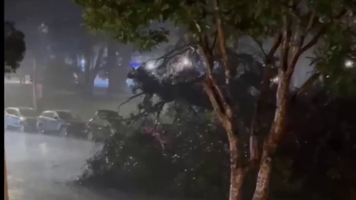 Bay Area Storm Brings Deadly Havoc – NBC Bay Area
