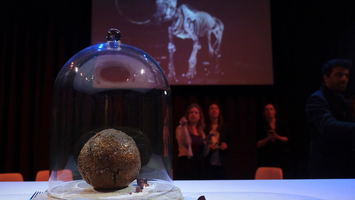 Startup Unveils Meatball Made With Mammoth DNA – NBC Bay Area - Vimarsana News