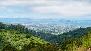 Aerial view of Bay Area.