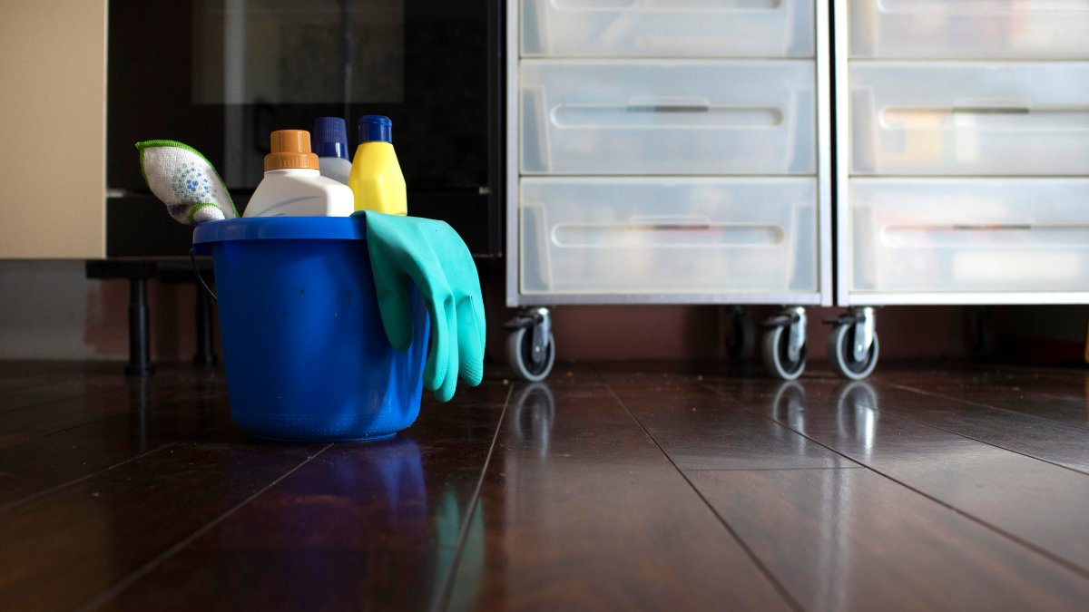 California Bill Would Help Protect Nannies, House Cleaners - Vimarsana News