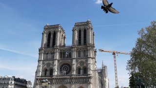 FRANCE-PARIS-NOTRE DAME CATHEDRAL-RENOVATION