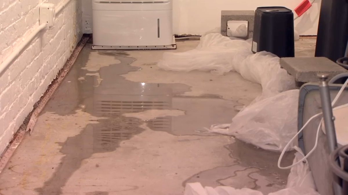 Nonstop Leaks at San Rafael Art Collective During Storms - Vimarsana News