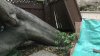 Palo Alto Tree Ordinance Under Fire After Storm Damage