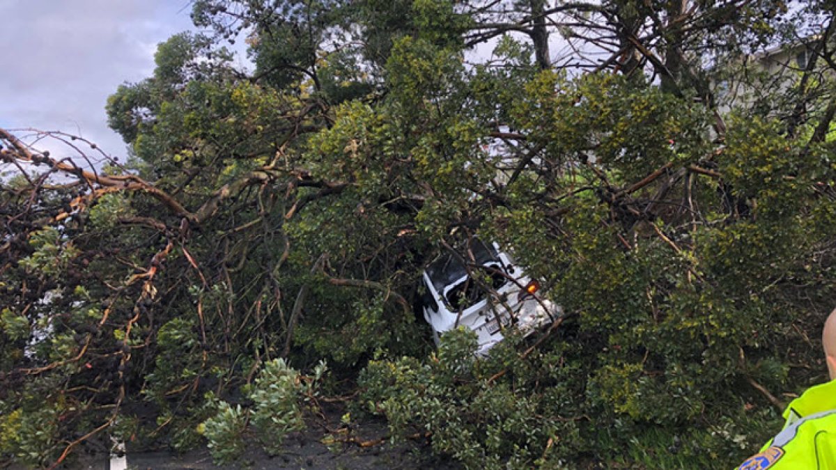 Bay Area Storm Problems: Flooding, Downed Trees, Road Closures – NBC ...