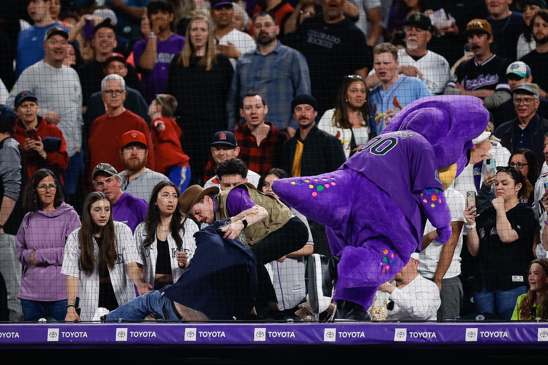 Man Who Tackled Colorado Rockies Mascot Dinger Turns Himself in: Police –  NBC Bay Area