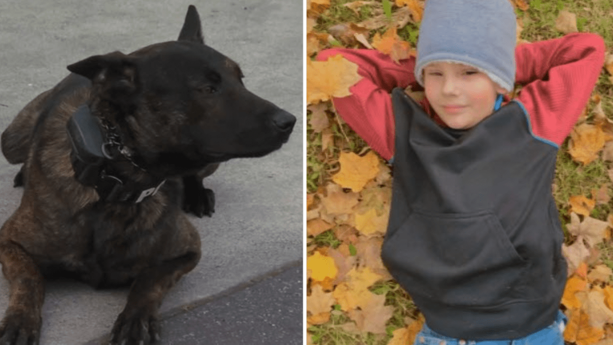 Campbell K-9 Officer a Tribute to Late 10-Year-Old Boy - Vimarsana News