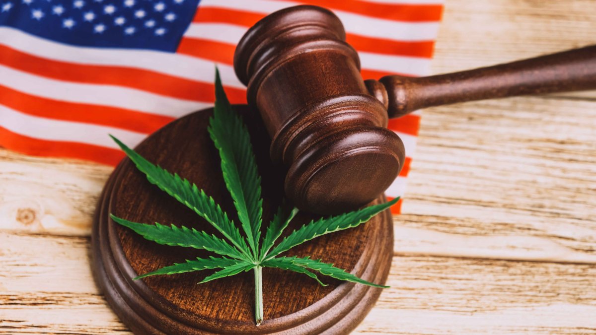 Here Are All the States That Have Legalized Weed in the US – NBC Bay Area - Vimarsana News